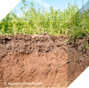 Querschnitt der verschiedenen Bodenschichten des Erdreichs ©eyetronic / fotolia.com