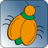 Käfer Icon