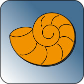 Muschel Icon