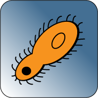 Pantoffeltierchen Icon