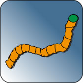 Wurm Icon