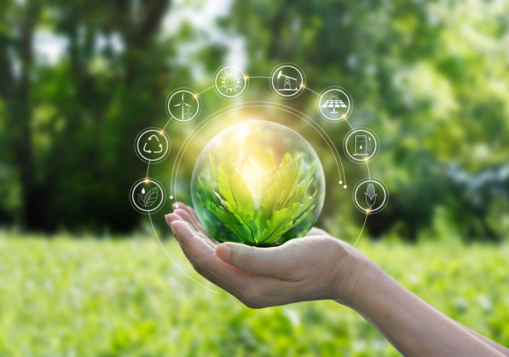 Hände, die einen grünen Baum auf tropischem Naturhintergrund im Sommer schützen. Bildquelle: ipopba - stock.adobe.com