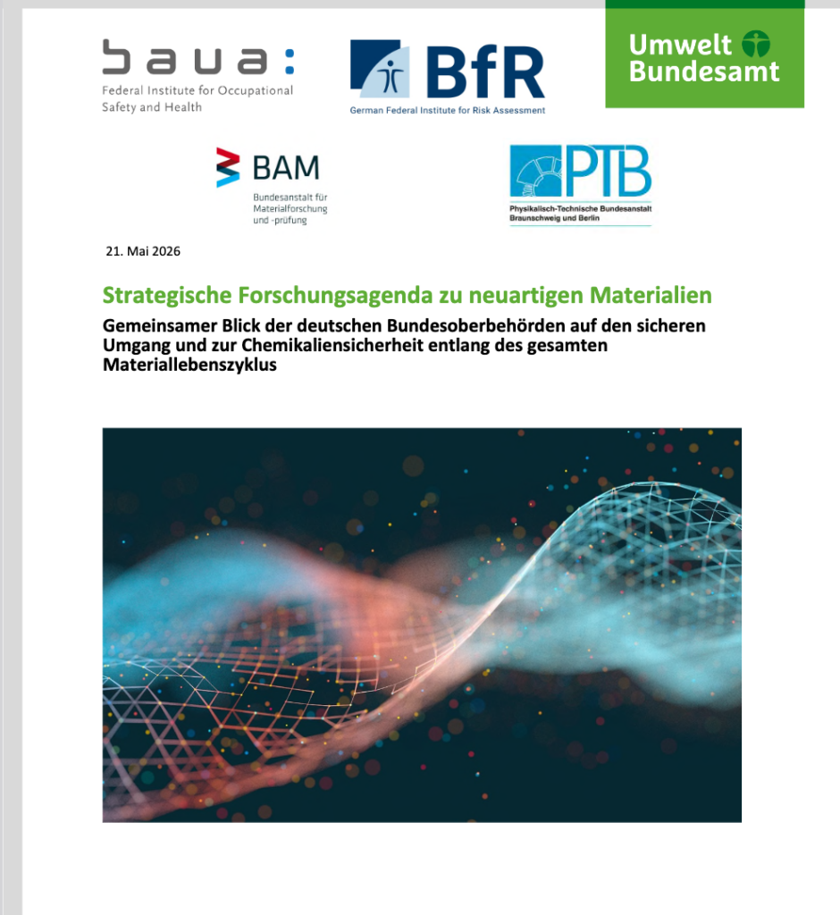 Bildschirmfoto des pdf Dokuments Strategische Forschungsagenda zu neuartigen Materialien
